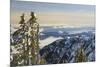 Mt. Washington, Vancouver Island, British Columbia, Canada-Stuart Westmorland-Mounted Photographic Print