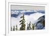 Mt. Washington, Vancouver Island, British Columbia, Canada-Stuart Westmorland-Framed Photographic Print