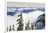 Mt. Washington, Vancouver Island, British Columbia, Canada-Stuart Westmorland-Framed Photographic Print