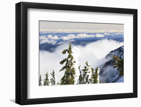 Mt. Washington, Vancouver Island, British Columbia, Canada-Stuart Westmorland-Framed Photographic Print