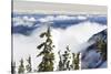 Mt. Washington, Vancouver Island, British Columbia, Canada-Stuart Westmorland-Stretched Canvas