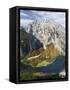 Mt. Watzmann and Lake Koenigsee, Berchtesgaden NP, Bavaria, Germany-Martin Zwick-Framed Stretched Canvas