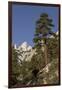 Mt. Whitney, Alabama Hills, Lone Pine, California-Rob Sheppard-Framed Photographic Print