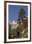 Mt. Whitney, Alabama Hills, Lone Pine, California-Rob Sheppard-Framed Photographic Print