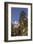 Mt. Whitney, Alabama Hills, Lone Pine, California-Rob Sheppard-Framed Photographic Print