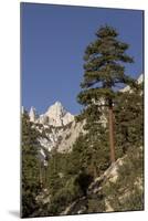 Mt. Whitney, Alabama Hills, Lone Pine, California-Rob Sheppard-Mounted Photographic Print