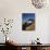 Mt Whitney and Lone Pine Peak Through Natural Arch, Alabama Hills, Eastern Sierra Range, California-Adam Jones-Photographic Print displayed on a wall