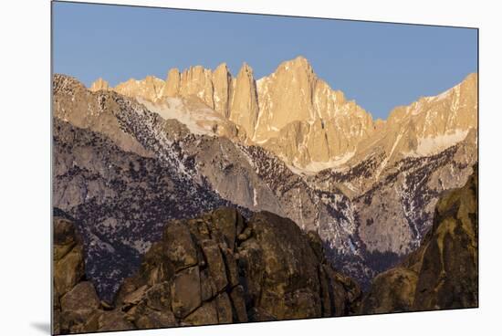 Mt. Whitney at Dawn with Rocks of Alabama Hills, Lone Pine, California-Rob Sheppard-Mounted Premium Photographic Print