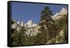 Mt. Whitney, Eastern Sierras, Lone Pine, California-Rob Sheppard-Framed Stretched Canvas