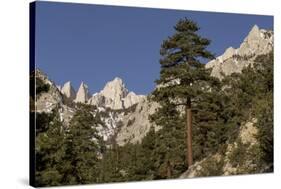 Mt. Whitney, Eastern Sierras, Lone Pine, California-Rob Sheppard-Stretched Canvas