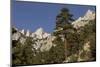 Mt. Whitney, Eastern Sierras, Lone Pine, California-Rob Sheppard-Mounted Photographic Print