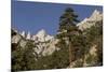 Mt. Whitney, Eastern Sierras, Lone Pine, California-Rob Sheppard-Mounted Photographic Print