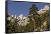 Mt. Whitney, Eastern Sierras, Lone Pine, California-Rob Sheppard-Framed Stretched Canvas