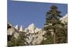 Mt. Whitney, Lone Pine, California-Rob Sheppard-Mounted Photographic Print