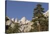 Mt. Whitney, Lone Pine, California-Rob Sheppard-Stretched Canvas