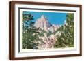 Brown Frame