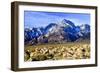 Mt Williamson II-Douglas Taylor-Framed Photo