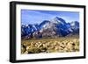 Mt Williamson II-Douglas Taylor-Framed Photo