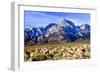 Mt Williamson II-Douglas Taylor-Framed Photo