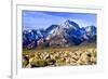 Mt Williamson II-Douglas Taylor-Framed Photographic Print