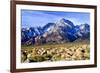 Mt Williamson II-Douglas Taylor-Framed Photographic Print