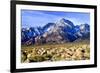 Mt Williamson II-Douglas Taylor-Framed Photographic Print