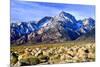 Mt Williamson II-Douglas Taylor-Mounted Photographic Print