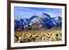 Mt Williamson II-Douglas Taylor-Framed Photo