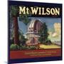 Mt Wilson Brand - Lamanda Park, California - Citrus Crate Label-Lantern Press-Mounted Art Print