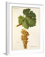 Mtsvani Grape-J. Troncy-Framed Giclee Print