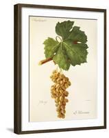 Mtsvani Grape-J. Troncy-Framed Giclee Print