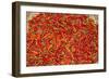 Muang Ngoi, Luang Prabang Province. Red Chillies Spread on a Bamboo Woven Mat to Dry in the Sun.-Nigel Pavitt-Framed Photographic Print