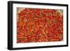 Muang Ngoi, Luang Prabang Province. Red Chillies Spread on a Bamboo Woven Mat to Dry in the Sun.-Nigel Pavitt-Framed Photographic Print