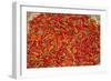 Muang Ngoi, Luang Prabang Province. Red Chillies Spread on a Bamboo Woven Mat to Dry in the Sun.-Nigel Pavitt-Framed Photographic Print