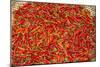 Muang Ngoi, Luang Prabang Province. Red Chillies Spread on a Bamboo Woven Mat to Dry in the Sun.-Nigel Pavitt-Mounted Photographic Print