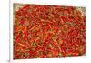 Muang Ngoi, Luang Prabang Province. Red Chillies Spread on a Bamboo Woven Mat to Dry in the Sun.-Nigel Pavitt-Framed Photographic Print