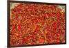 Muang Ngoi, Luang Prabang Province. Red Chillies Spread on a Bamboo Woven Mat to Dry in the Sun.-Nigel Pavitt-Framed Photographic Print