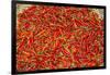 Muang Ngoi, Luang Prabang Province. Red Chillies Spread on a Bamboo Woven Mat to Dry in the Sun.-Nigel Pavitt-Framed Photographic Print