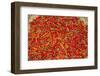 Muang Ngoi, Luang Prabang Province. Red Chillies Spread on a Bamboo Woven Mat to Dry in the Sun.-Nigel Pavitt-Framed Photographic Print