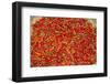 Muang Ngoi, Luang Prabang Province. Red Chillies Spread on a Bamboo Woven Mat to Dry in the Sun.-Nigel Pavitt-Framed Photographic Print