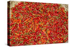 Muang Ngoi, Luang Prabang Province. Red Chillies Spread on a Bamboo Woven Mat to Dry in the Sun.-Nigel Pavitt-Stretched Canvas