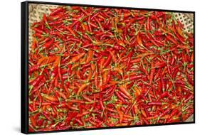 Muang Ngoi, Luang Prabang Province. Red Chillies Spread on a Bamboo Woven Mat to Dry in the Sun.-Nigel Pavitt-Framed Stretched Canvas