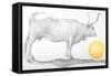 Mucca in Maremma-Antonio Ciccone-Framed Stretched Canvas