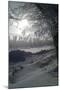 Much Snow in Bavaria-Martina Bleichner-Mounted Art Print