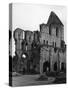 Much Wenlock Abbey-null-Stretched Canvas