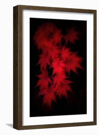 Much Wind in the Leaves-Philippe Sainte-Laudy-Framed Photographic Print