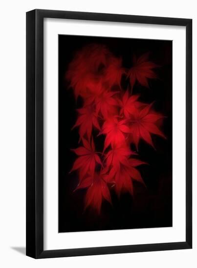 Much Wind in the Leaves-Philippe Sainte-Laudy-Framed Photographic Print