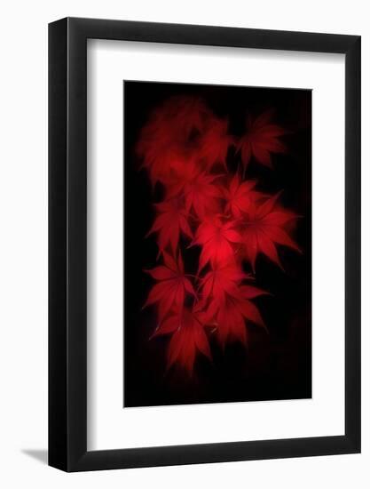 Much Wind in the Leaves-Philippe Sainte-Laudy-Framed Photographic Print