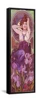 Mucha Amethyst-null-Framed Stretched Canvas