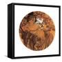 Mucha Autumn Medallion-null-Framed Stretched Canvas